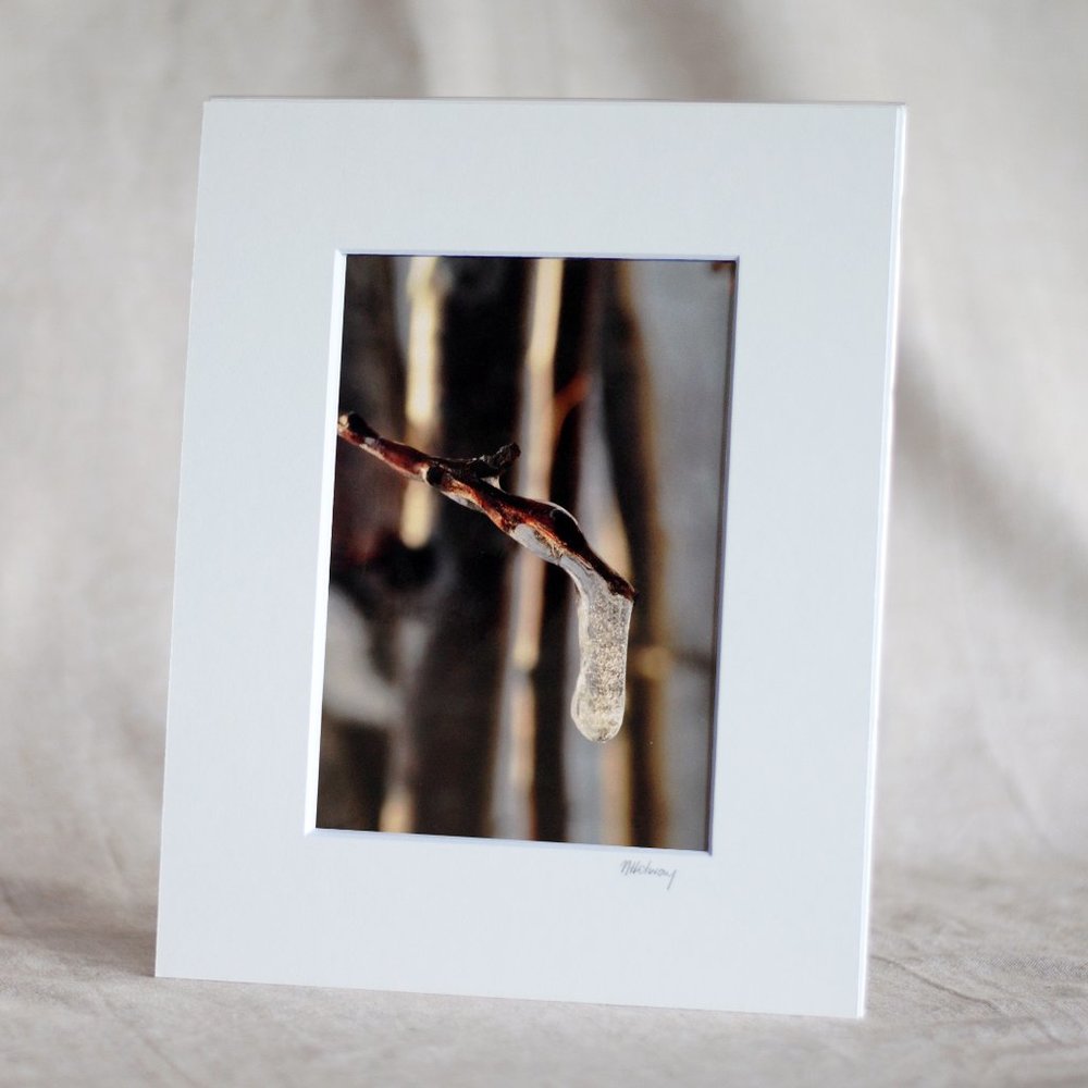 "Winter's Hold" 5x7 Original Photography Print